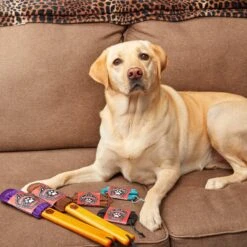 Furrfighters Furrniture Brush Pet Hair & Lint Removal Brush -Pet Dog Supply Store 262078 PT7. AC SS1800 V1648516590