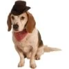 Rubie's Costume Company Cowboy Set Dog Costume -Pet Dog Supply Store 263126 MAIN. AC SS1800 V1606846324