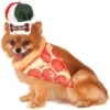 Rubie's Costume Company Pizza Chef Kit Dog Costume -Pet Dog Supply Store 263128 MAIN. AC SS1800 V1606846327