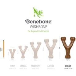 Benebone Wishbone Chicken Flavor Chew Dog Toy -Pet Dog Supply Store 265104 PT4. AC SS1800 V1612392450