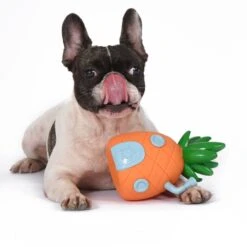 Fetch For Pets SpongeBob Pineapple House Squeaky Plush Dog Toy -Pet Dog Supply Store 265305 PT4. AC SS1800 V1611091702