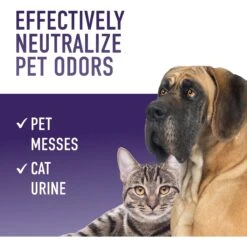 Hoover Clean Complements Carpet Cleaning Formula Booster, 16-oz Bottle, 2 Count -Pet Dog Supply Store 268775 PT3. AC SS1800 V1611268916