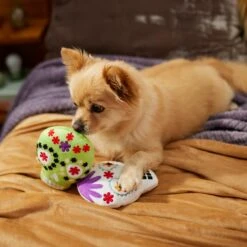 Frisco Halloween Day Of The Dead Sugar Skull Plush Squeaky Dog Toy, 2 Count 9 Frisco Halloween Day Of The Dead Sugar Skull Plush Squeaky Dog Toy, 2 Count -Pet Dog Supply Store 270443 PT3. AC SS1800 V1624824826