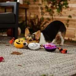 Frisco Halloween Haunted Friends Plush With Rope Squeaky Dog Toy -Pet Dog Supply Store 270500 PT3. AC SS1800 V1624825043