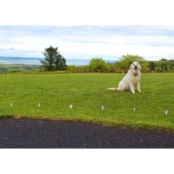 StayFence Pet Containment System Extra Receiver -Pet Dog Supply Store 270618 PT3. AC SS1800 V1623859353