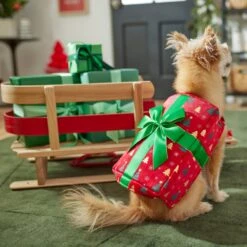 Frisco Holiday Giftbox Dog & Cat Costume -Pet Dog Supply Store 276175 PT8. AC SS1800 V1631574832