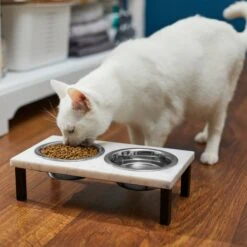 Frisco Marble Elevated Stainless Steel Double Diner Dog & Cat Bowls -Pet Dog Supply Store 277559 PT3. AC SS1800 V1630347820