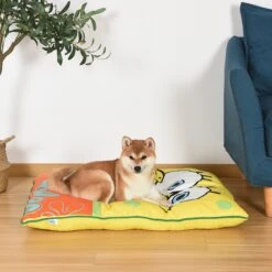 Fetch For Pets Spongebob Sponge-Bob Napper Dog Bed, Yellow -Pet Dog Supply Store 277833 PT5. AC SS1800 V1625611307