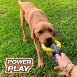 Nylabone Power Play Tug-a-Ball 2-in-1 Ball & Tug Dog Toy 12 Nylabone Power Play Tug-a-Ball 2-in-1 Ball & Tug Dog Toy -Pet Dog Supply Store 278156 PT3. AC SS1800 V1614811315