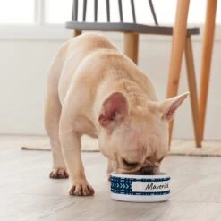 Frisco Personalized Mudcloth Small Dog & Cat Bowl 9 Frisco Personalized Mudcloth Small Dog & Cat Bowl -Pet Dog Supply Store 278936 PT3. AC SS1800 V1629147692