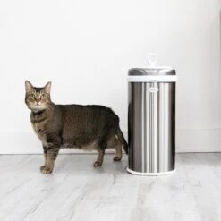 Ubbi® Ubbi Stainless Steel Dog & Cat Waste Pail 12 Ubbi® Ubbi Stainless Steel Dog & Cat Waste Pail -Pet Dog Supply Store 279122 PT4. AC SS1800 V1678378358