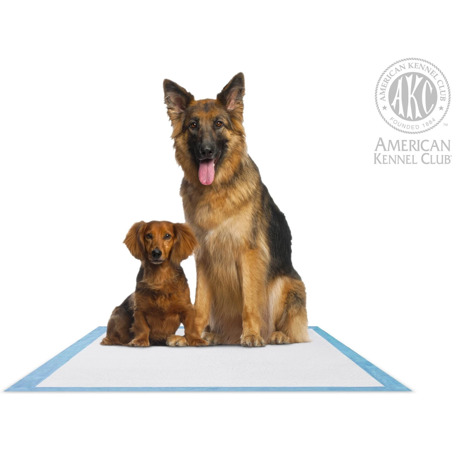 American Kennel Club AKC Ultra-Absorbent Fresh Cut Grass Scented Dog Training Pads, X-Large, 50 Count 6 American Kennel Club AKC Ultra-Absorbent Fresh Cut Grass Scented Dog Training Pads, X-Large, 50 Count - Image 4
