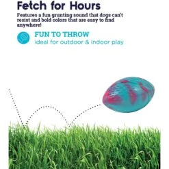 Petstages Grunt N Punt Football Dog Toy, Blue & Pink -Pet Dog Supply Store 280174 PT2. AC SS1800 V1636504901