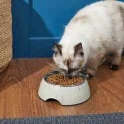 STAR WARS TIE FIGHTER Non-Skid Stainless Steel With Melamine Stand Dog & Cat Bowl -Pet Dog Supply Store 280651 PT3. AC SS1800 V1629986665