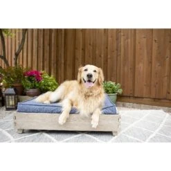 La-Z-Boy Bailey Indoor/Outdoor Sofa Dog Bed -Pet Dog Supply Store 280882 PT3. AC SS1800 V1616622387