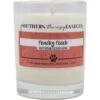 Southern Therapy Candles Peachy Pooch Odor Eliminator Candle -Pet Dog Supply Store 285110 MAIN. AC SS1800 V1630617391