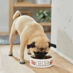 Frisco Flower Ceramic Personalized Dog Bowl -Pet Dog Supply Store 286985 PT2. AC SS1800 V1625764713