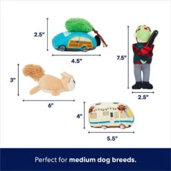 Frisco Holiday House Hide & Seek Puzzle Plush Squeaky Dog Toy -Pet Dog Supply Store 287083 PT2. AC SS1800 V1695046042