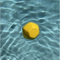 Project Hive Pet Company Ball Dog Toy 9 Project Hive Pet Company Ball Dog Toy -Pet Dog Supply Store 289450 PT2. AC SS1800 V1620167622