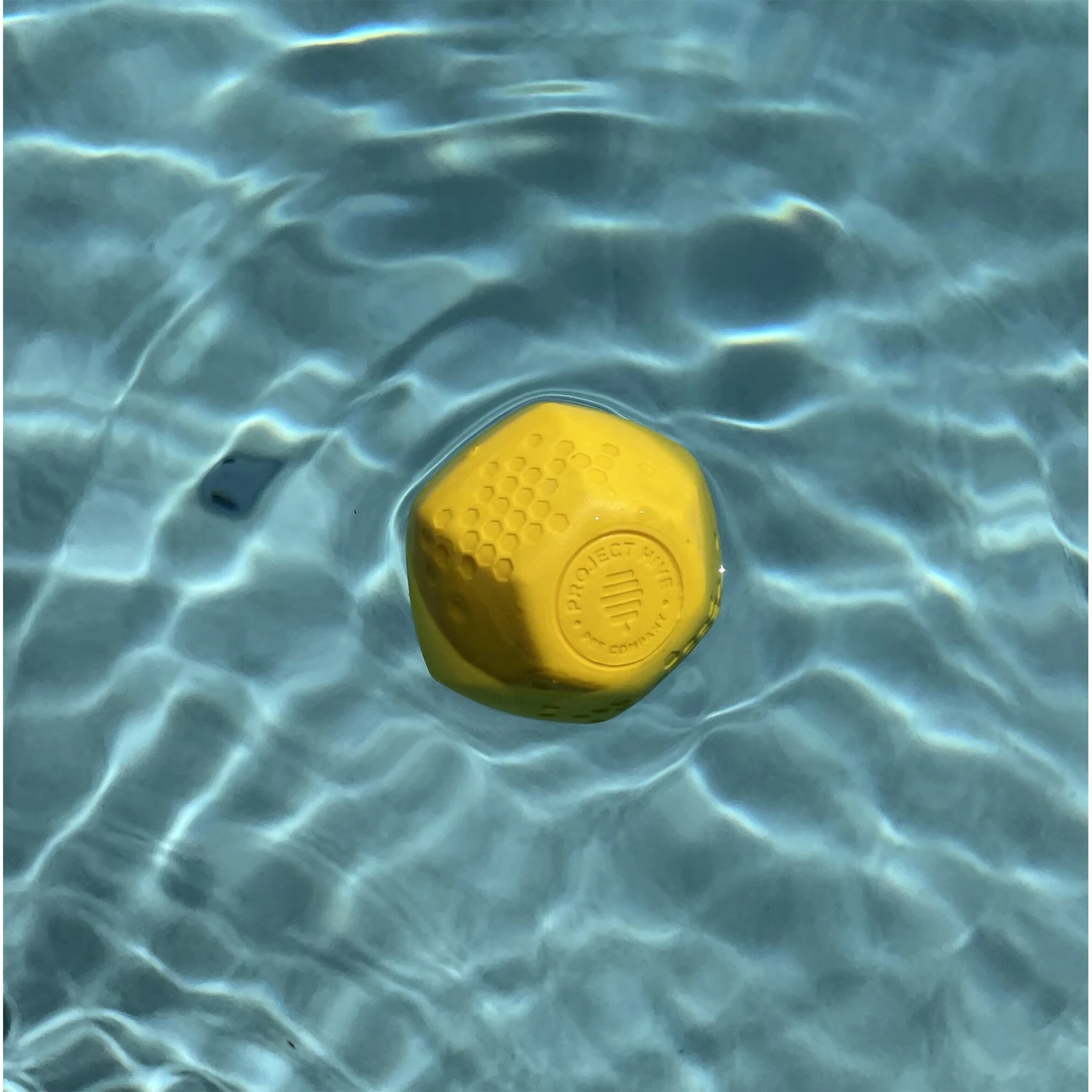 Project Hive Pet Company Ball Dog Toy 5 Project Hive Pet Company Ball Dog Toy - Image 3