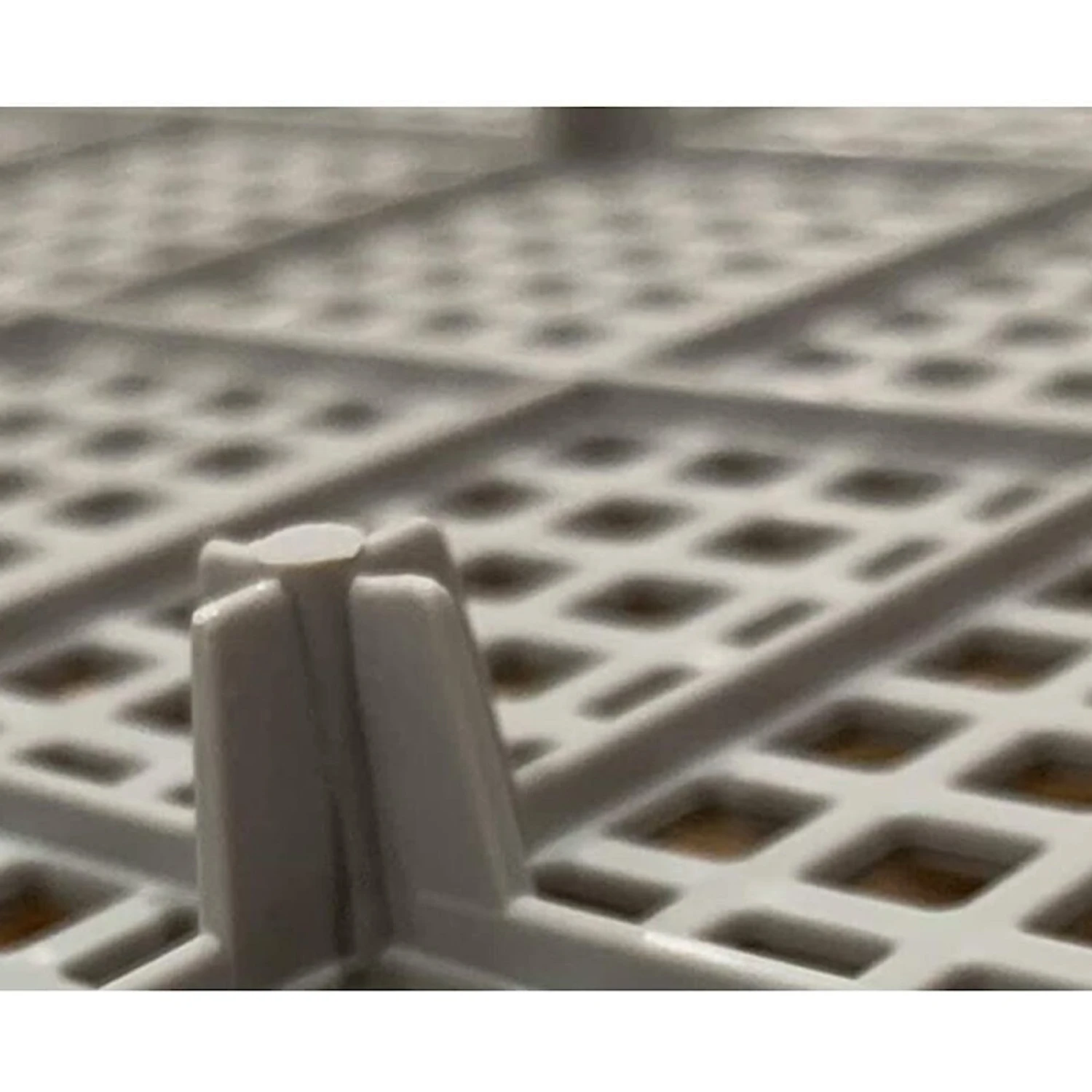 PS KOREA Indoor Dog Potty Tray 8 PS KOREA Indoor Dog Potty Tray - Image 6