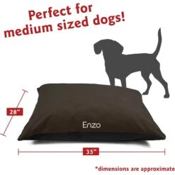 Majestic Pet Villa Personalized Pillow Cat & Dog Bed 10 Majestic Pet Villa Personalized Pillow Cat & Dog Bed -Pet Dog Supply Store 294182 PT2. AC SS1800 V1624492991