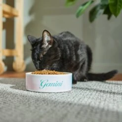 Frisco Watercolors Ceramic Personalized Dog Bowl -Pet Dog Supply Store 296664 PT3. AC SS1800 V1625764646