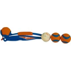 Chuckit! National Fetch Day Gearbox Dog Toy -Pet Dog Supply Store 297206 PT2. AC SS1800 V1626732380