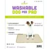 Zampa Pets Quality Whelp Rectangular Reusable Dog Pee Pad -Pet Dog Supply Store 297346 MAIN. AC SS1800 V1621864059