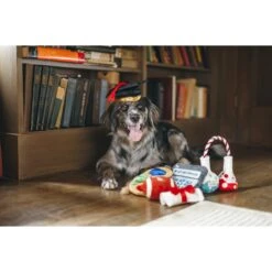 P.L.A.Y. Pet Lifestyle And You Back To School Squeaky Dog Toy, 5 Count -Pet Dog Supply Store 297628 PT2. AC SS1800 V1621032535