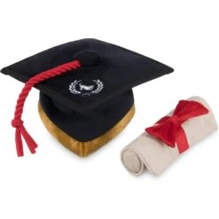 P.L.A.Y. Pet Lifestyle And You Back To School Squeaky Dog Toy, 5 Count -Pet Dog Supply Store 297628 PT6. AC SS1800 V1621030128