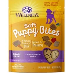 KONG Puppy Flyer Dog Toy, Color Varies & Wellness Soft Puppy Bites Lamb & Salmon Recipe Grain-Free Natural Dog Treats -Pet Dog Supply Store 298190 PT5. AC SS1800 V1623193942
