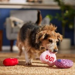 Frisco Valentine Hearts Plush Squeaky Dog Toy -Pet Dog Supply Store 298919 PT3. AC SS1800 V1701365170