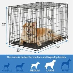 Frisco Fold & Carry Double Door Collapsible Wire Dog Crate & Mat Kit & Frisco Stainless Steel Bowl -Pet Dog Supply Store 303428 PT2. AC SS1800 V1623055045