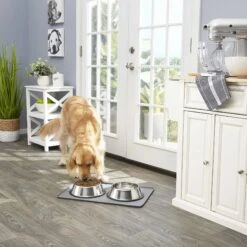 Frisco Fold & Carry Double Door Collapsible Wire Dog Crate & Mat Kit & Frisco Stainless Steel Bowl -Pet Dog Supply Store 303428 PT7. AC SS1800 V1623045760