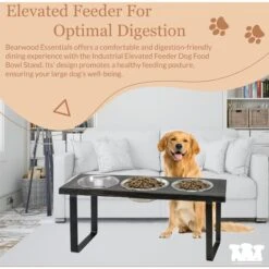 Bearwood Essentials Farmhouse 3-Bowl Elevated Dog Feeder -Pet Dog Supply Store 303798 PT5. AC SS1800 V1703276562