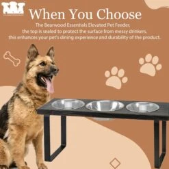 Bearwood Essentials Farmhouse 3-Bowl Elevated Dog Feeder -Pet Dog Supply Store 303798 PT7. AC SS1800 V1703276620