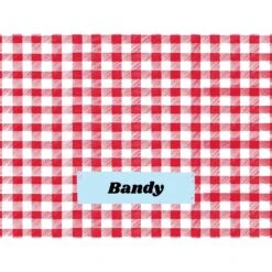 Frisco Personalized Gingham Plaid Sherpa Cat & Dog Blanket, 30" X 40" 12 Frisco Personalized Gingham Plaid Sherpa Cat & Dog Blanket, 30" X 40" -Pet Dog Supply Store 303834 PT4. AC SS1800 V1637610144
