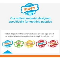 Nylabone Puppy Starter Kit With Chew Toys, Teething Kit & Chew Treat -Pet Dog Supply Store 304155 PT2. AC SS1800 V1693418695