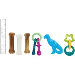 Nylabone Puppy Starter Kit With Chew Toys, Teething Kit & Chew Treat -Pet Dog Supply Store 304155 PT6. AC SS1800 V1693419176
