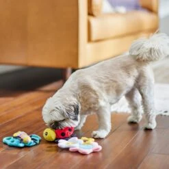 Frisco Spring Pack Plush Squeaky Dog Toy 10 Frisco Spring Pack Plush Squeaky Dog Toy -Pet Dog Supply Store 304950 PT4. AC SS1800 V1703184715