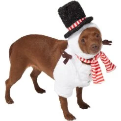 Frisco Front Walking Snowman Dog & Cat Costume 8 Frisco Front Walking Snowman Dog & Cat Costume -Pet Dog Supply Store 306569 PT3. AC SS1800 V1631660597