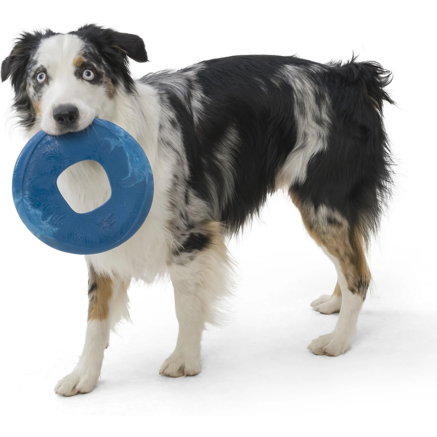 West Paw Sailz Dog Fetch Toy, Large 4 West Paw Sailz Dog Fetch Toy, Large - Image 2