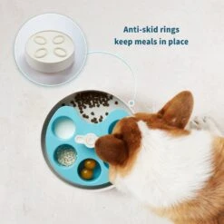 Pet Dream House SPIN Medium Level Palette Non-Skid Plastic Interactive Slow Feeder Dog Bowl, Blue -Pet Dog Supply Store 308746 PT4. AC SS1800 V1627681662
