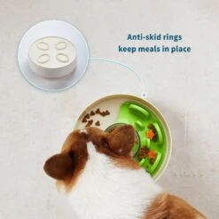 Pet Dream House SPIN Tricky Level UFO Maze Non-Skid Plastic Interactive Slow Feeder Dog Bowl -Pet Dog Supply Store 308748 PT4. AC SS1800 V1627510994
