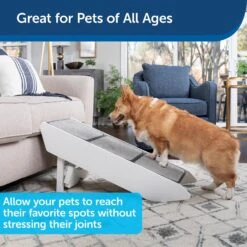 PetSafe CozyUp Dog & Cat Steps & Ramp -Pet Dog Supply Store 309047 PT2. AC SS1800 V1623970052