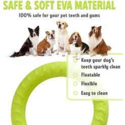 PetSpy Fitness Ring Dog Toy -Pet Dog Supply Store 309601 PT2. AC SS1800 V1624661580