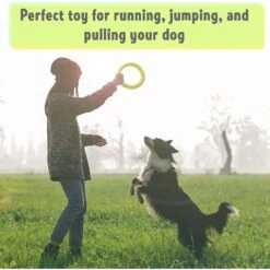 PetSpy Fitness Ring Dog Toy -Pet Dog Supply Store 309601 PT4. AC SS1800 V1624663053