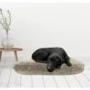 Canine Creations Orthopedic Pillow Dog Bed 1 Canine Creations Orthopedic Pillow Dog Bed -Pet Dog Supply Store 311062 MAIN. AC SS1800 V1641621386