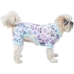 Disney Mickey & Friends Tie Dye Dog & Cat Jersey PJs -Pet Dog Supply Store 311817 PT3. AC SS1800 V1671133431
